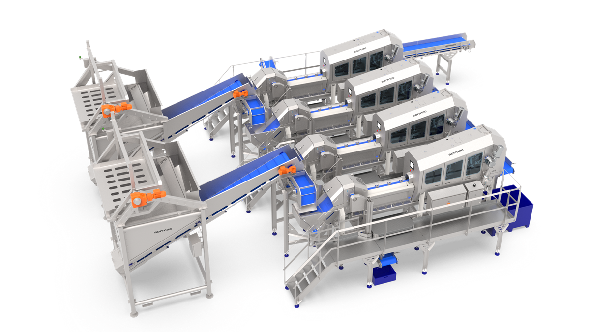 Sormac onion peeling line solution (1).png